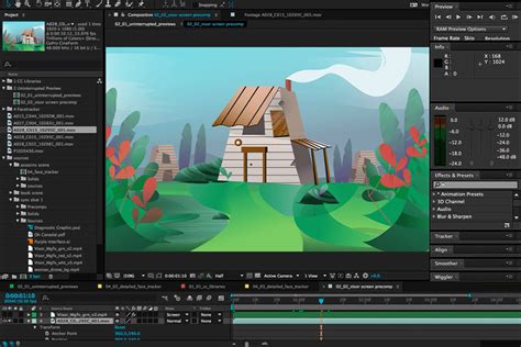 Motion graphics software .